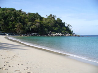 beach with palm trees