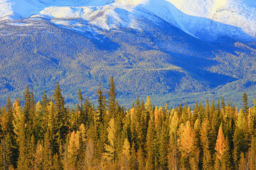 Altai mountain landscape mountains background view panorama