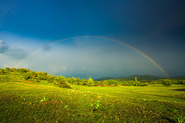 Rainbow over fields and trees on a farm on the edge of Lake