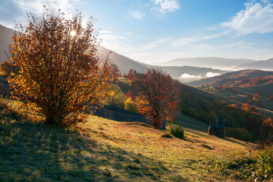 mountainous countryside in morning light. beautiful autumn scenery with trees in colorful foliage and rural fields on hills rolling in to the distant ridge beneath a bright blue sky with fluffy clouds