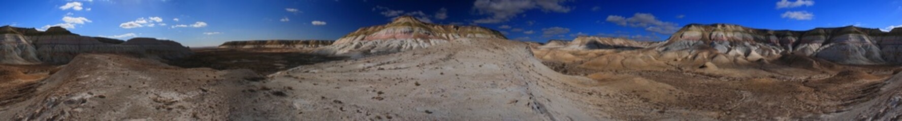 Western Kazakhstan. Ustyurt plateau. Inner gorge of the western region of Bozzhira.