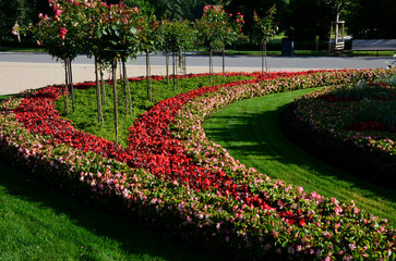 ornamental flowerbed in front of the castle on the ground floor. The planting of annuals is in the...