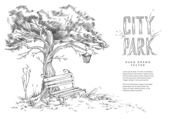 City park in sketch style vector illustration.