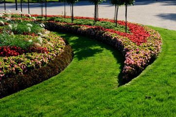 ornamental flowerbed in front of the castle on the ground floor. The planting of annuals is in the...