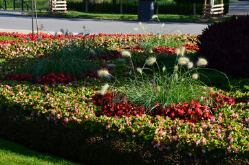 ornamental flowerbed in front of the castle on the ground floor. The planting of annuals is in the...