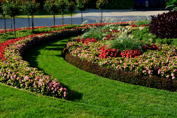 ornamental flowerbed in front of the castle on the ground floor. The planting of annuals is in the...