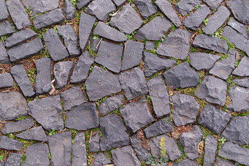 遊歩道のデザイン