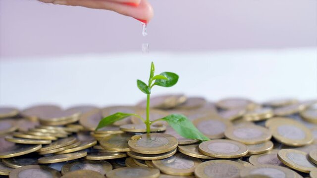 Female hand watering a young sapling planted on a bed of coins - financial growth. 10 rupee Indian currency coins stacked together on a table - monthly savings and investment. Grow money  Financial...