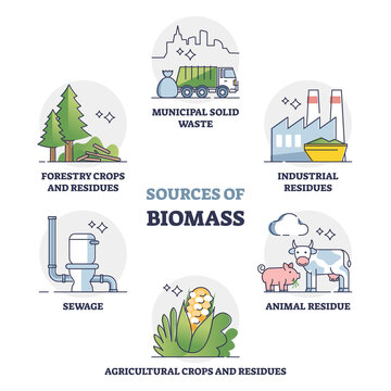 Sources of biomass energy as alternative power in outline collection diagram. Educational labeled set with recycled municipal solid waste, residues, sewage and forestry crops vector illustration.