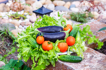 Fresh vegetables are lying on lettuce leaves on the street.