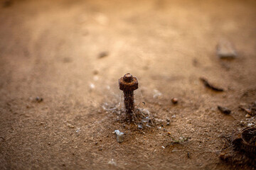 Screws and nuts corroded by time, with rust and some with cobwebs in the mix.