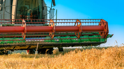 Working Harvesting Combine in the Field of Wheat. Rich harvest.
