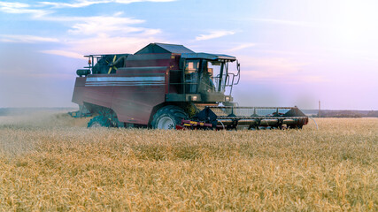 Fototapeta premium Working Harvesting Combine in the Field of Wheat. Rich harvest.