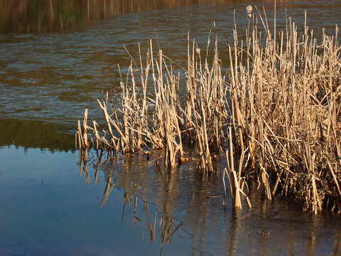 Marbach-Stausee im Odenwald