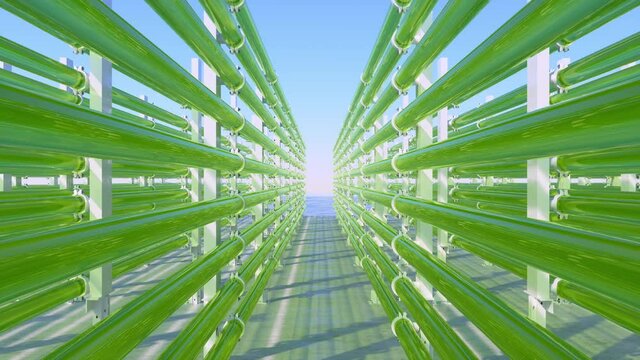 Tubular Algae Bioreactors Fixing CO2 To Produce Biofuel As An Alternative Fuel With Blue Sky Background