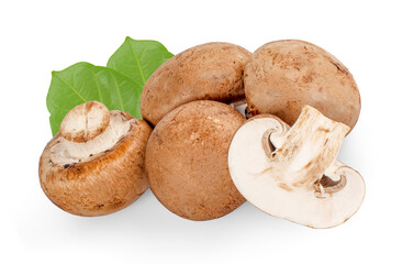 Fresh champignon mushrooms isolated on white. background