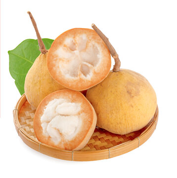 santol fruit isolated on white background