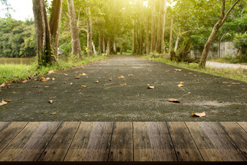 beautiful wooden floor and park and forest background