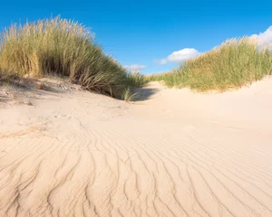 Zelfklevend Fotobehang Noordzee, Nederland nederlandse waddeneilanden hebben veel verlaten zandduinen uinder blauwe zomerlucht in nederland