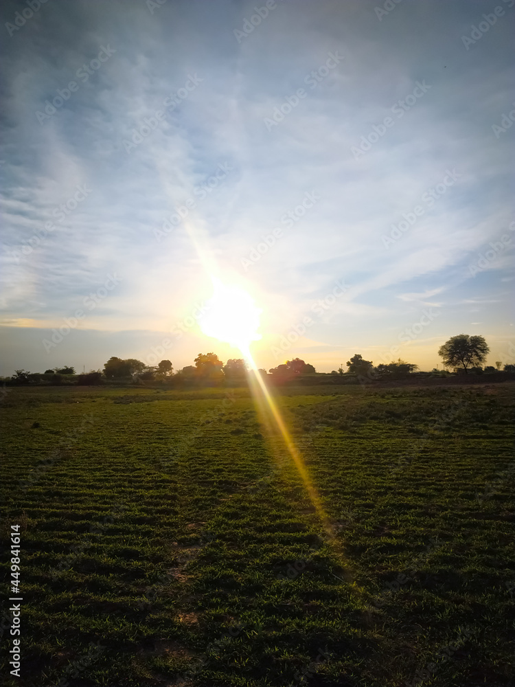 Poster Beautiful sunrise scenery over the grass field