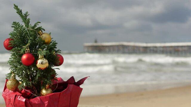 Christmas tree on sandy sea beach, New Year on ocean coast, Xmas in California. Decor from pine or fir tree, winter holidays in USA. Festive decoration, waves and seascape. Seamless looped cinemagraph
