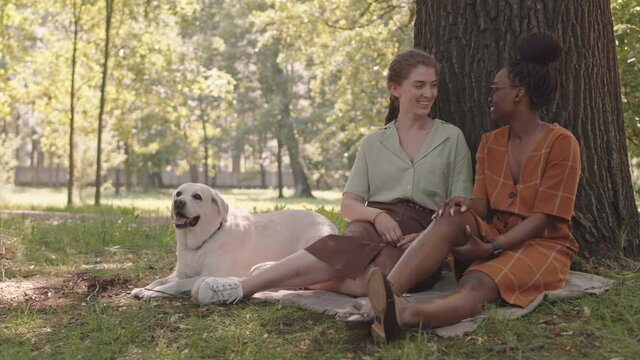 Wide shot of two young diverse girlfriends and dog sitting on grass, leaning on tree in sunny park, women talking and smiling