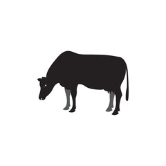 Cattle icon design illustration template