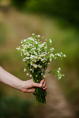 a bouquet of daisies