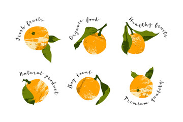 Juicy mandarin, tangerine, orange, clementine. Fresh citrus fruit, healthy organic food. Ripe fruits with leaves. Vector flat cartoon botanical illustration. Perfect for logo, stamp, brand, mark