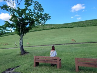 若草とベンチと鹿
