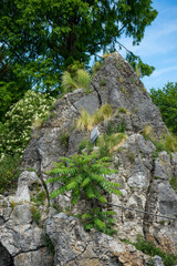 Germany, Cologne Snapshot, , Zoo de Cologne, LOW ANGLE VIEW OF ROCK FORMATIONS