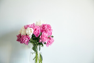 Empty white wall with pink flowers. Peonies in a glass vase in a bright interior