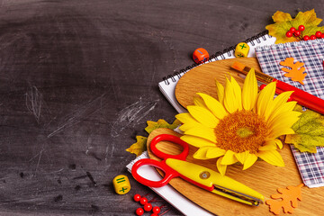 School supplies on a black chalkboard background