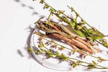 Fresh flowers and roots of chicory on a ceramic stand