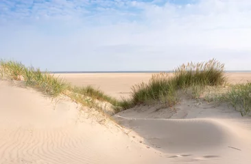 Crédence de cuisine en verre imprimé Mer du Nord, Pays-Bas dunes and beach on dutch island of texel on sunny day with blue sky
