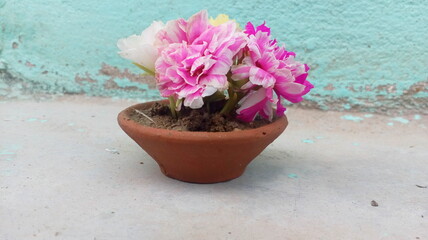 Colorful flowers in small clay pot