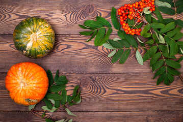 Top view of orange and green mini pumpkin and autumn rowan berries on wooden background. Happy Thanksgiving and Harvest, Autumn composition with place for text