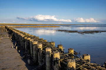 groynes at the North Sea during low tide