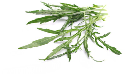 Fresh rocket or arugula green leaves isolated on white background and texture