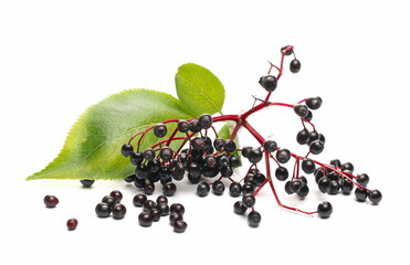 Elderberries, elder berries pile with green leaf, isolated on white background
