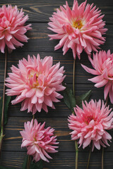 Autumn flowers on rustic wood flat lay. Beautiful seasons greeting card. Pink dahlias wallpaper © sonyachny