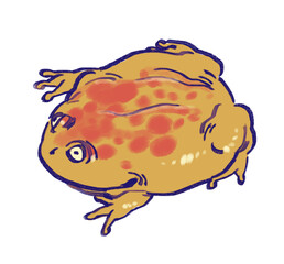 Hand drawn funny cute big budgett's frog smiling with wide eyes