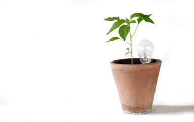 green energy, business metaphor or environment protection concept,free copy space