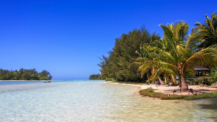 a body of water surrounded by palm trees in cook islands