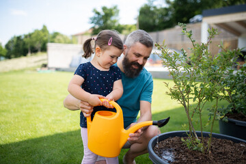 Father with small daughter outdoors in tha backyard, watering plants.