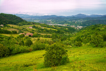 Fototapeta na wymiar Vineyards of Monferrato near Gavi at springtime
