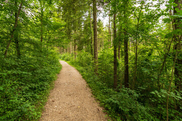 Wanderweg am Alm Fluss