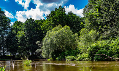 The bend of the river Bobr and the amazing variety of plants © Frąckowiak