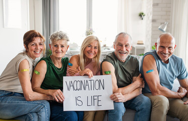 Group of senior friends showing plaster on arm indoors, covid-19 vaccination concept. - obrazy, fototapety, plakaty