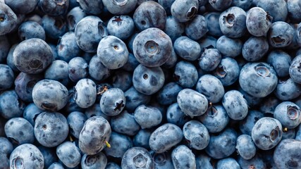 Food healthy blueberry berry organic. blueberry background. whortleberry.